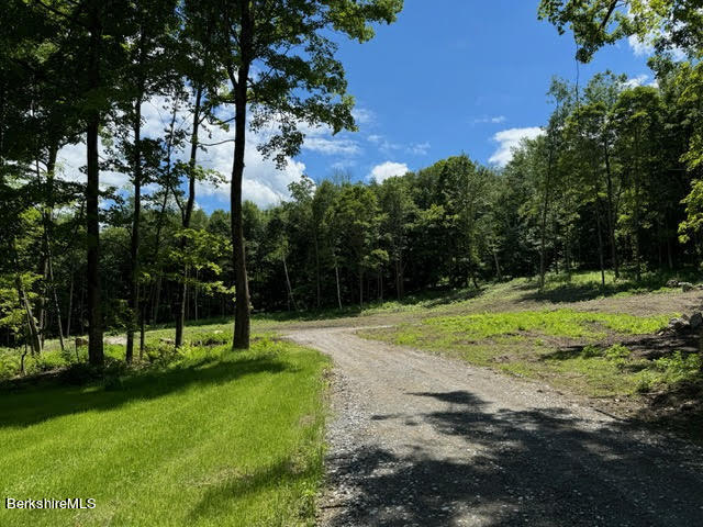 43 Millard Road Egremont, MA 01230 - Photo 13 of 16 climokinney1