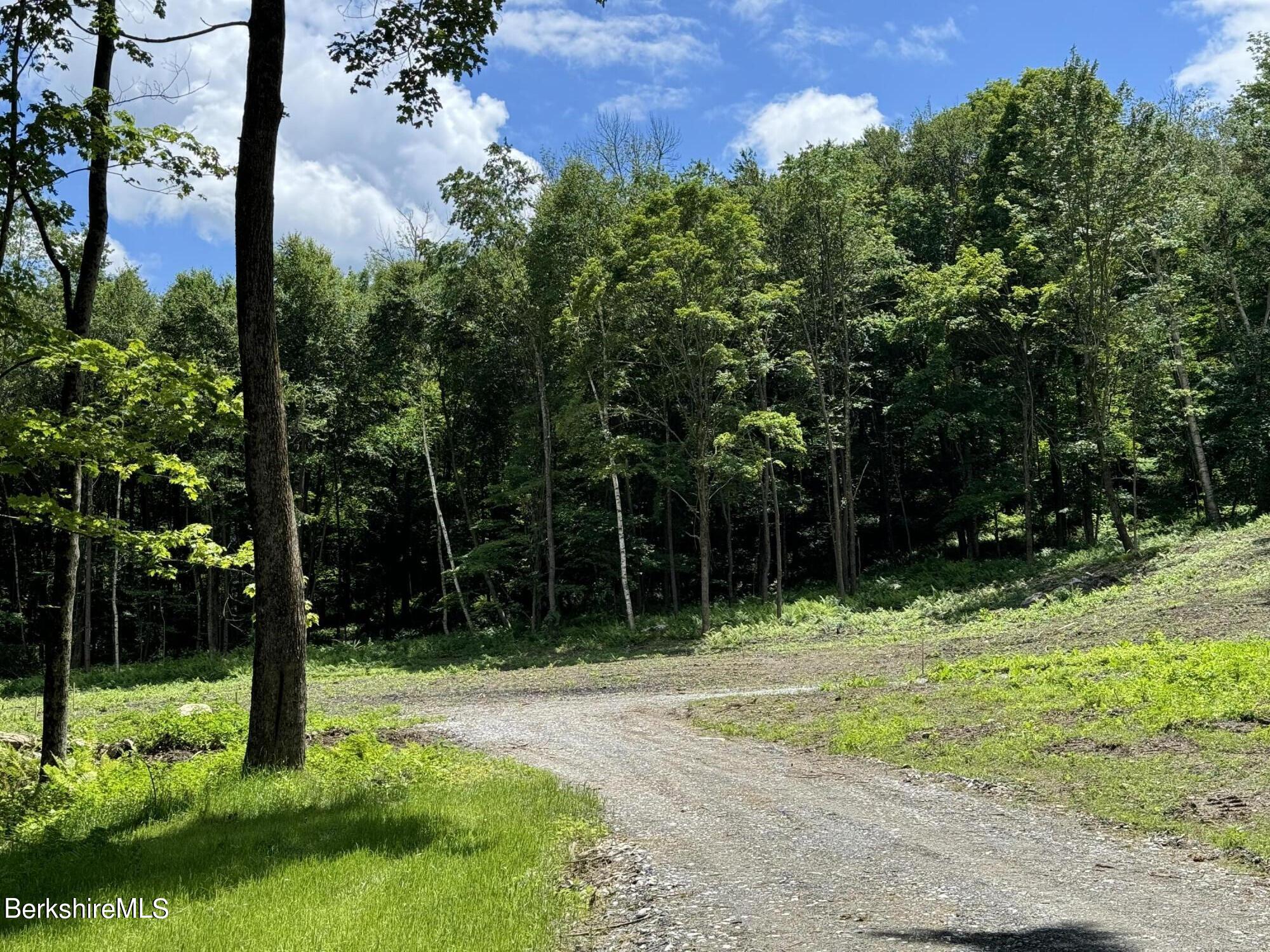 43 Millard Road Egremont, MA 01230 - Photo 4 of 16 IMG_3788