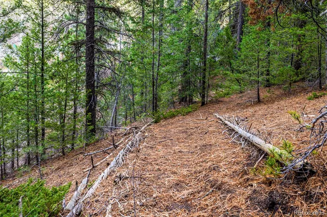 $495,000 | 31390 Highway 72, Golden, CO 80403