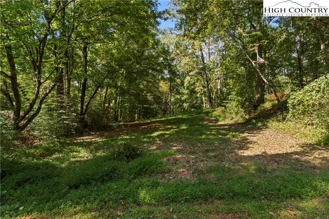 a view of a field of grass and trees