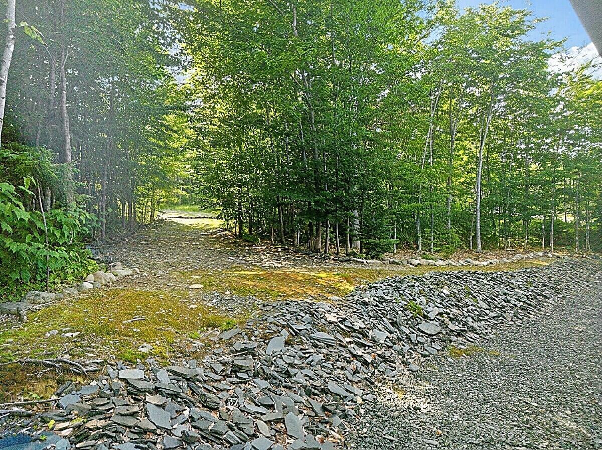 6 Alpine Rdg Drive Greenville, ME 04441 - Photo 16 of 82 73_DJI_0088_DxO_reedit_dec28734_93e2dc22