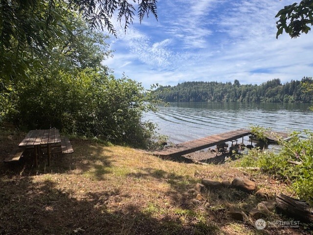125 Village Road Mossyrock, WA 98564 - Photo 19 of 39