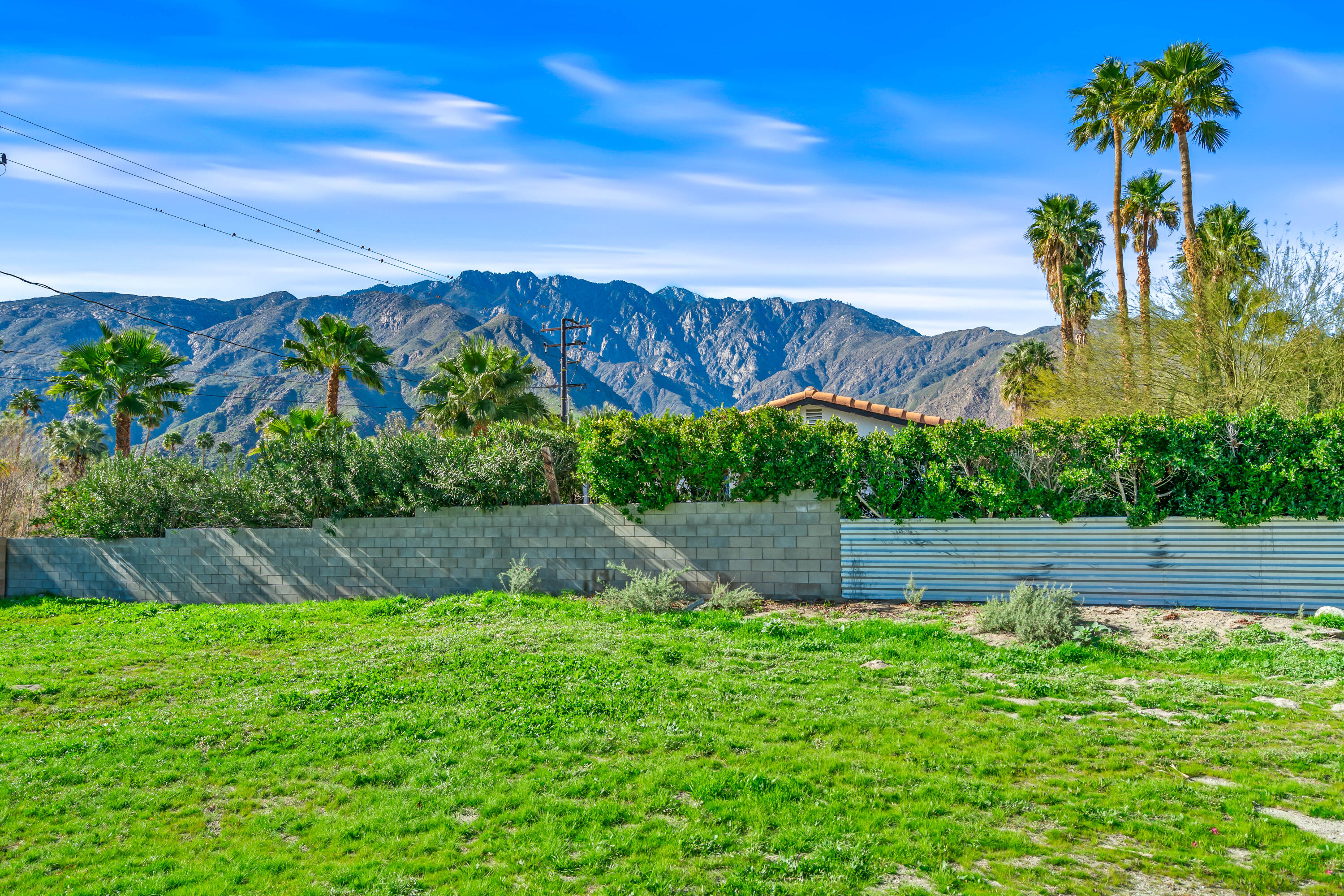 0 West Sepulveda Road Palm Springs, CA 92262 - Photo 11 of 22 a view of a yard with a palm tree