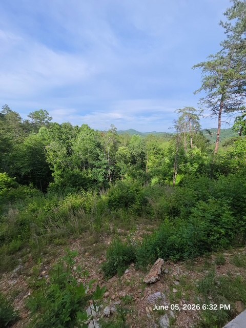 95 Ridgeline Lane Mineral Bluff, GA 30559 - Photo 11 of 73 a view of a garden