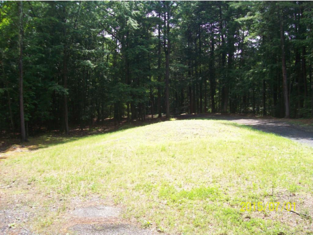 48 Coon Hill Road Castleton, VT 05743 - Photo 8 of 13
