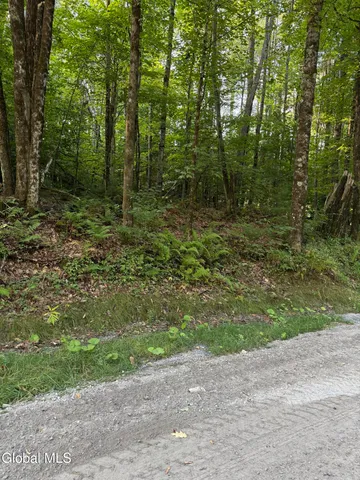 $145,000 | 362 Dickinson Hill Road, Bolton, NY 12824