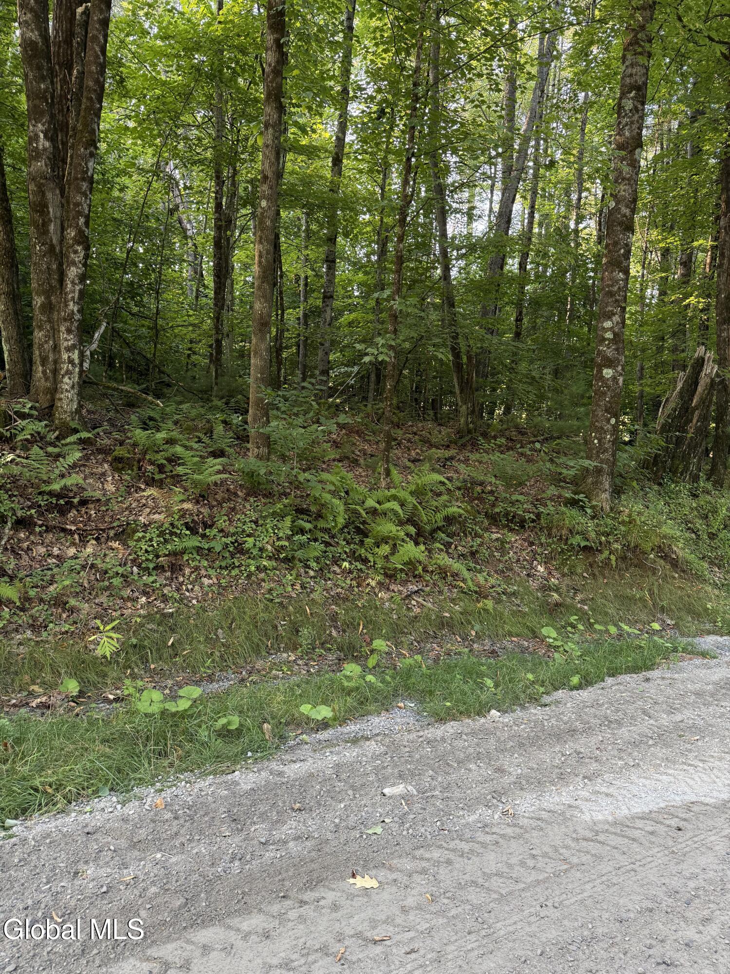 362 Dickinson Hill Road Bolton, NY 12824 - Photo 2 of 5 Lot 7 road