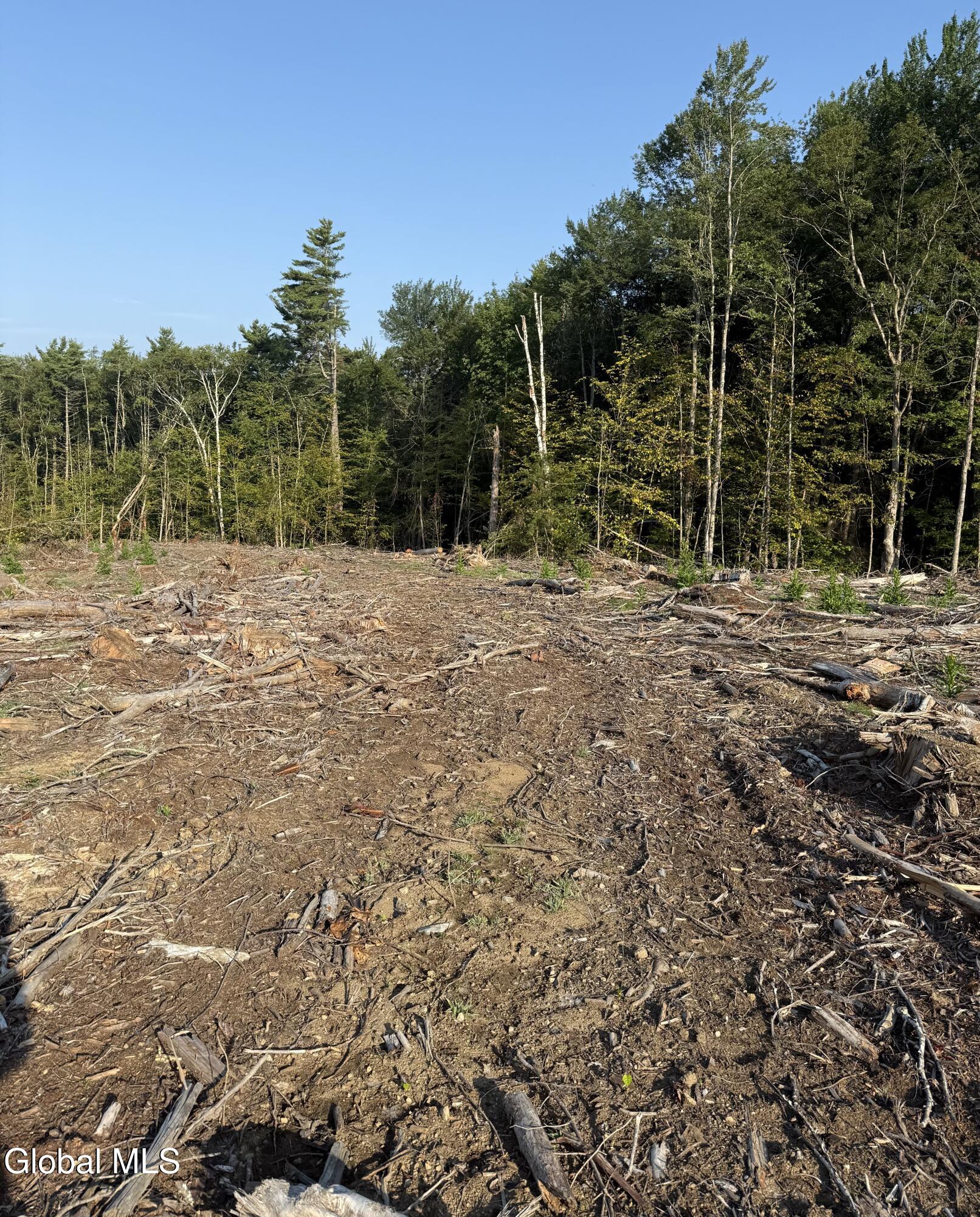 362 Dickinson Hill Road Bolton, NY 12824 - Photo 3 of 5 Lot 7 build site