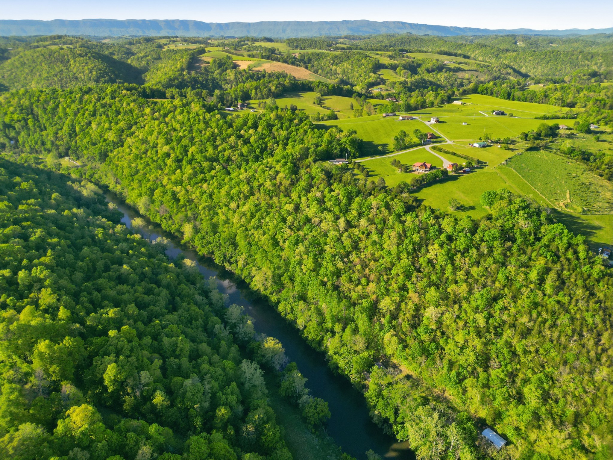 364 Lock Lane Tazewell, TN 37879 - Photo 12 of 15 a view of a green field with lots of bushes