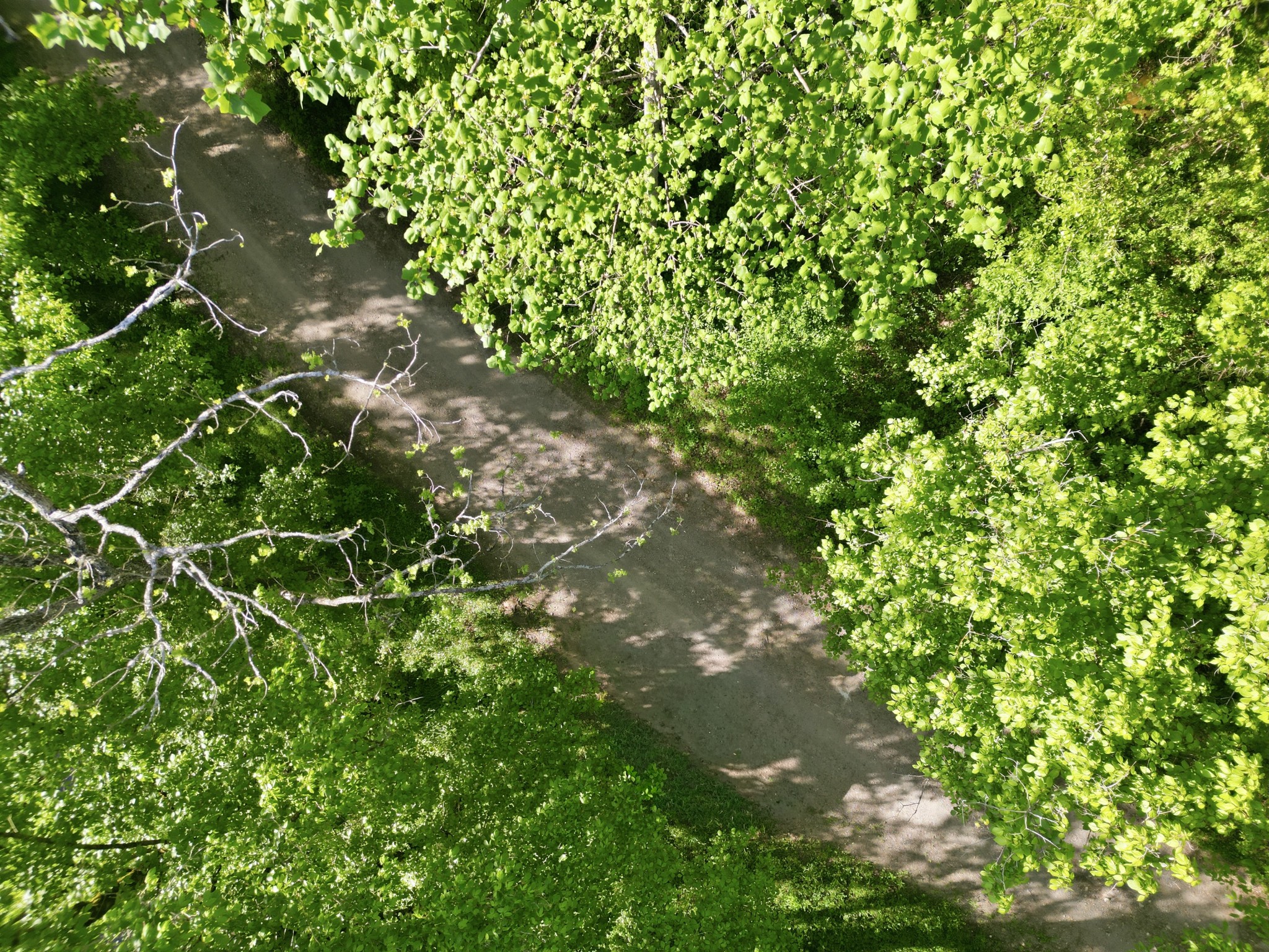 364 Lock Lane Tazewell, TN 37879 - Photo 5 of 15 a backyard of a house