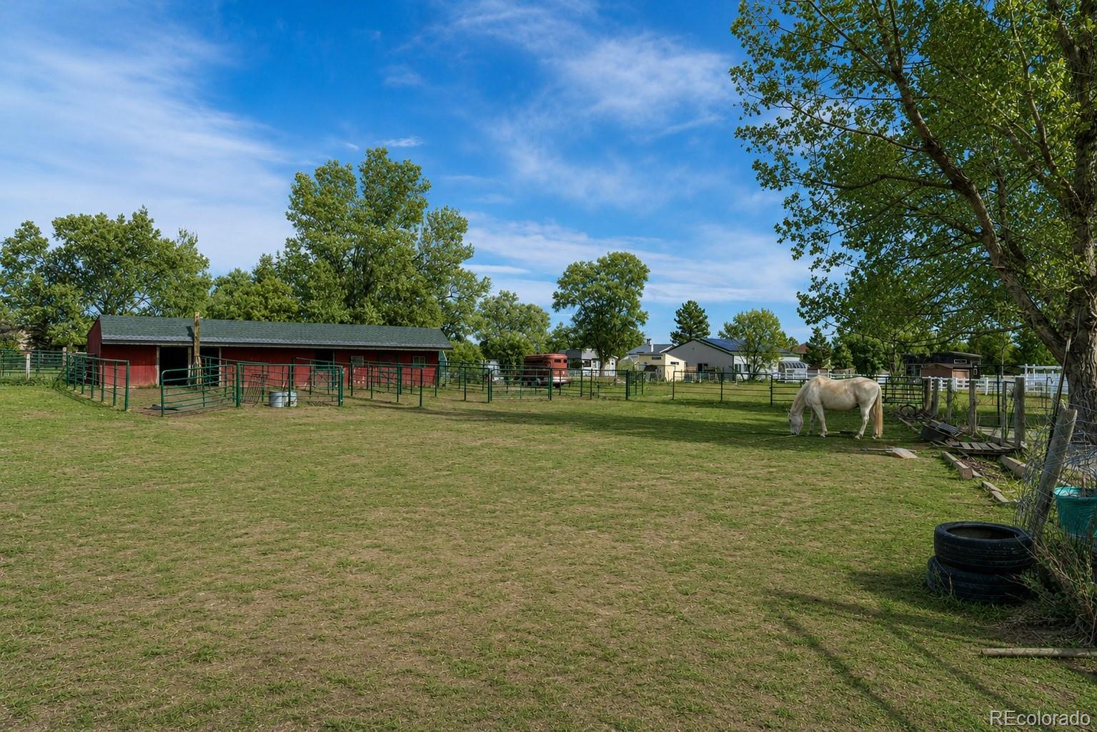 6263 Laodicea Road Longmont, CO 80503 - Photo 8 of 42