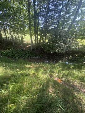 905 Back Draft Road Green Bank, WV 24944 - Photo 23 of 102 Gallery Image 23
