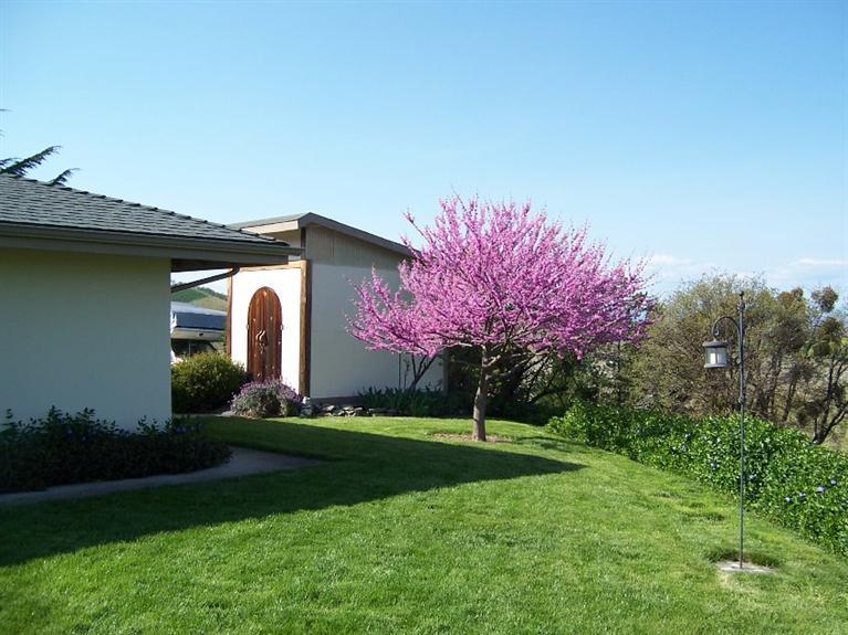 1277 Carpenter Hill Road Medford, OR 97501 - Photo 19 of 34 Additional Photo
