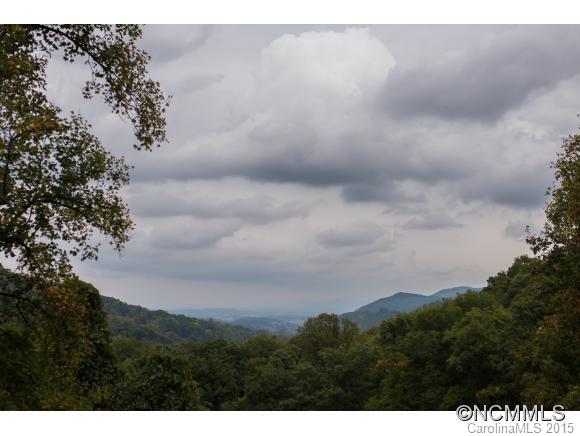 1703 Newfound Road Leicester, NC 28748 - Photo 2 of 24 Gallery Image 2