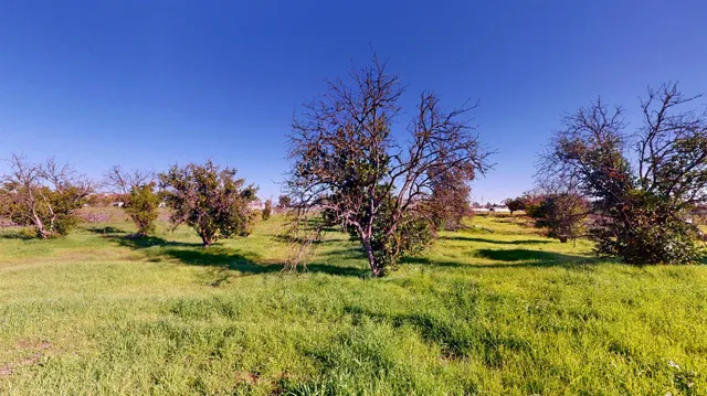 a view of a yard with a house
