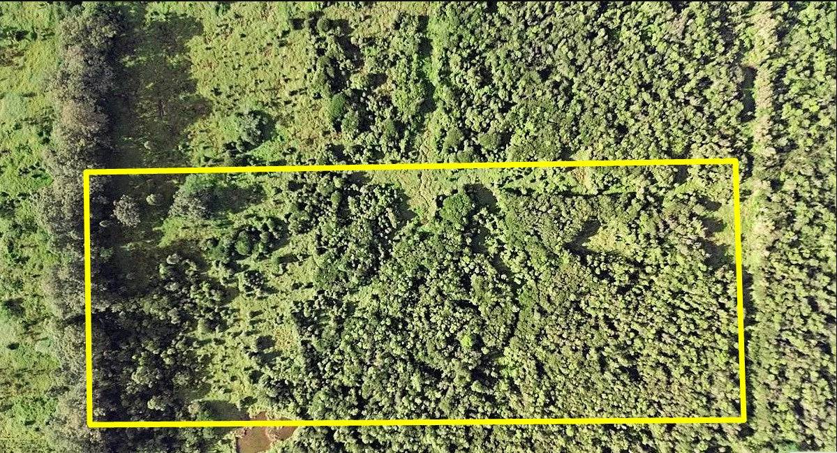 4 North Pszyk Road Mountain View, HI 96771 - Photo 3 of 14