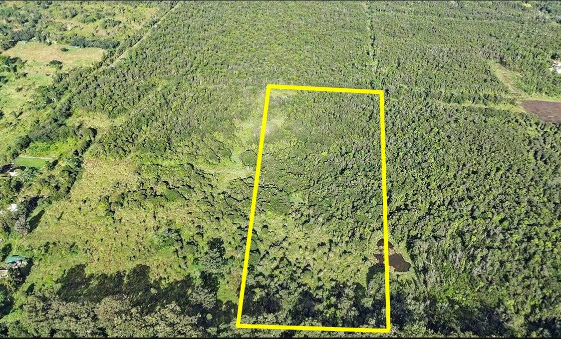 4 North Pszyk Road Mountain View, HI 96771 - Photo 4 of 14 a view of a window