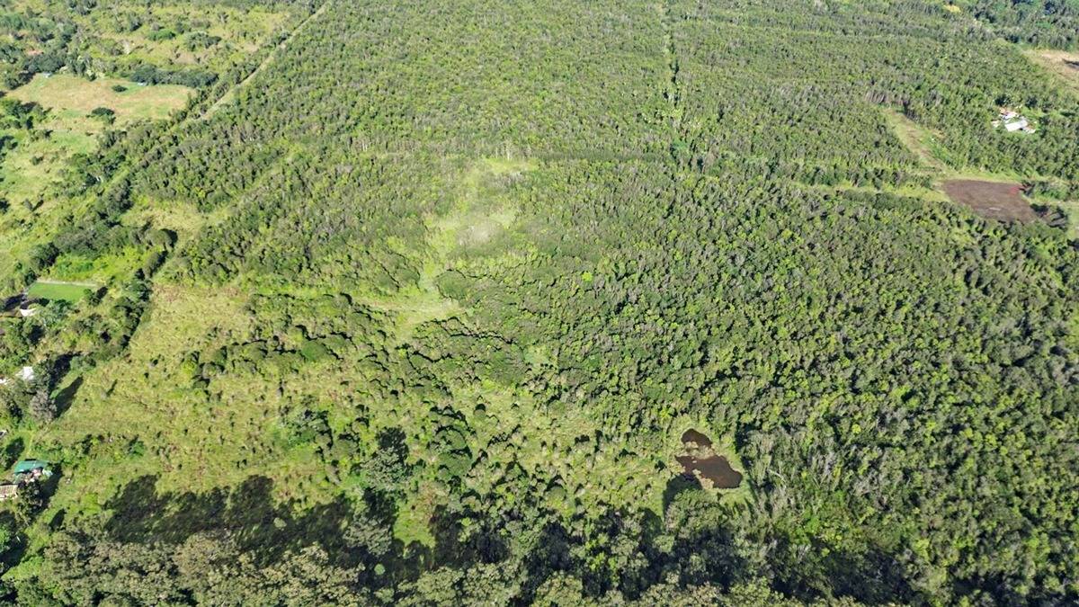 4 North Pszyk Road Mountain View, HI 96771 - Photo 9 of 14 a view of a lush green field