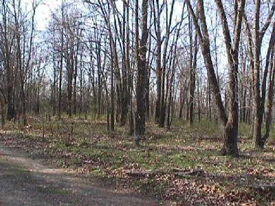 0 Rt 1 Billings, MO 65610 - Photo 1 of 1 Primary Photo