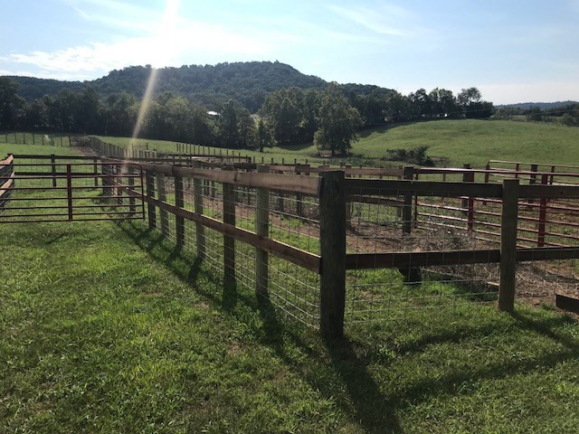 541 Parker Road Hillsboro, KY 41049 - Photo 7 of 10 Gallery Image 7