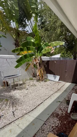 $2,400 | 571 Northeast 67th Street, Unit 1, Miami, FL 33138