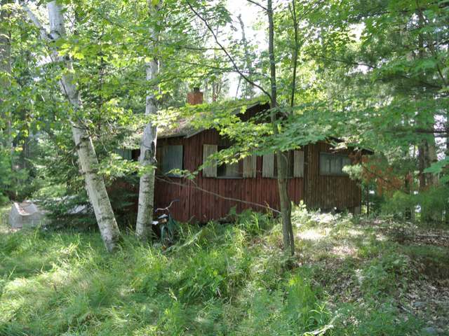 Lot 3 Lark Road Lake Tomahawk, WI 54539 - Photo 16 of 20 Gallery Image 16