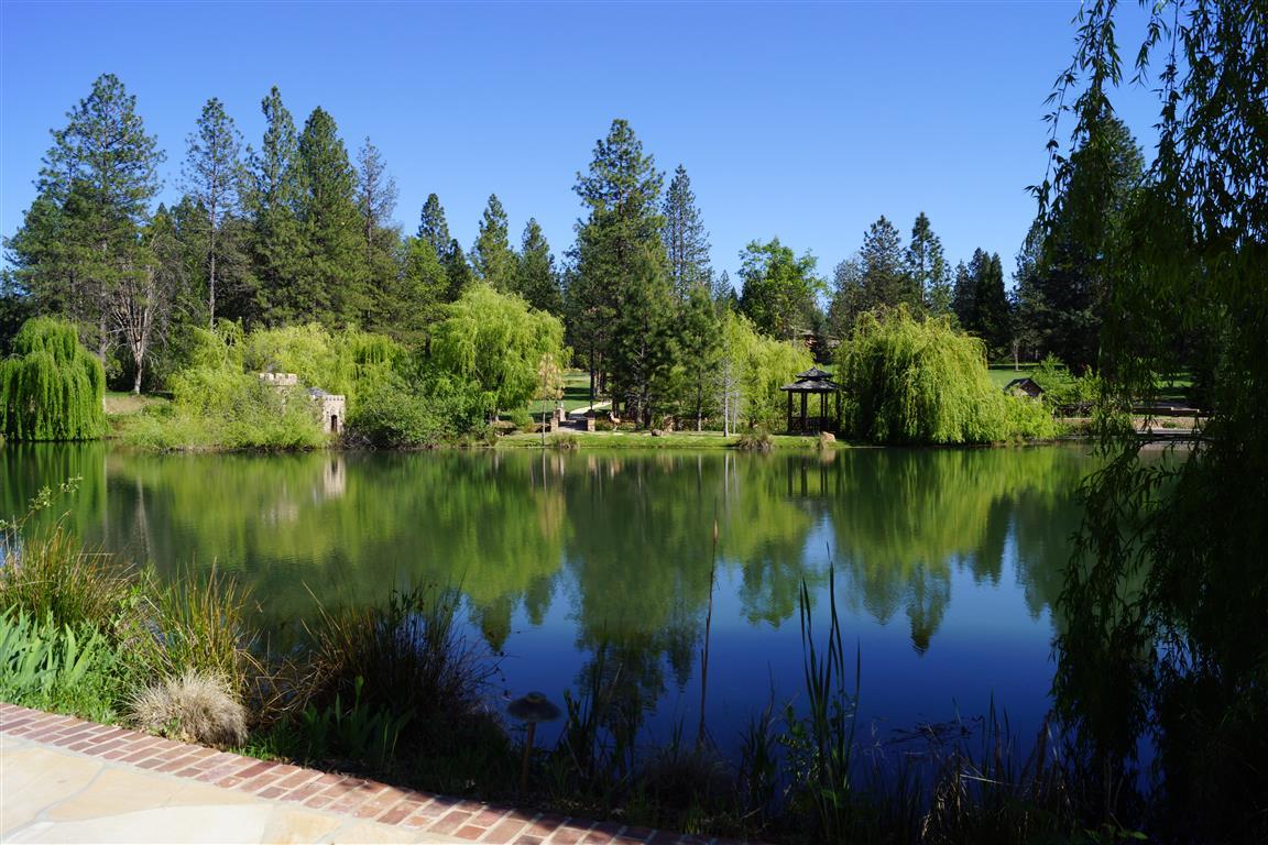 14388 Fern Road Whitmore, CA 96096 - Photo 11 of 52 a lake view with a garden