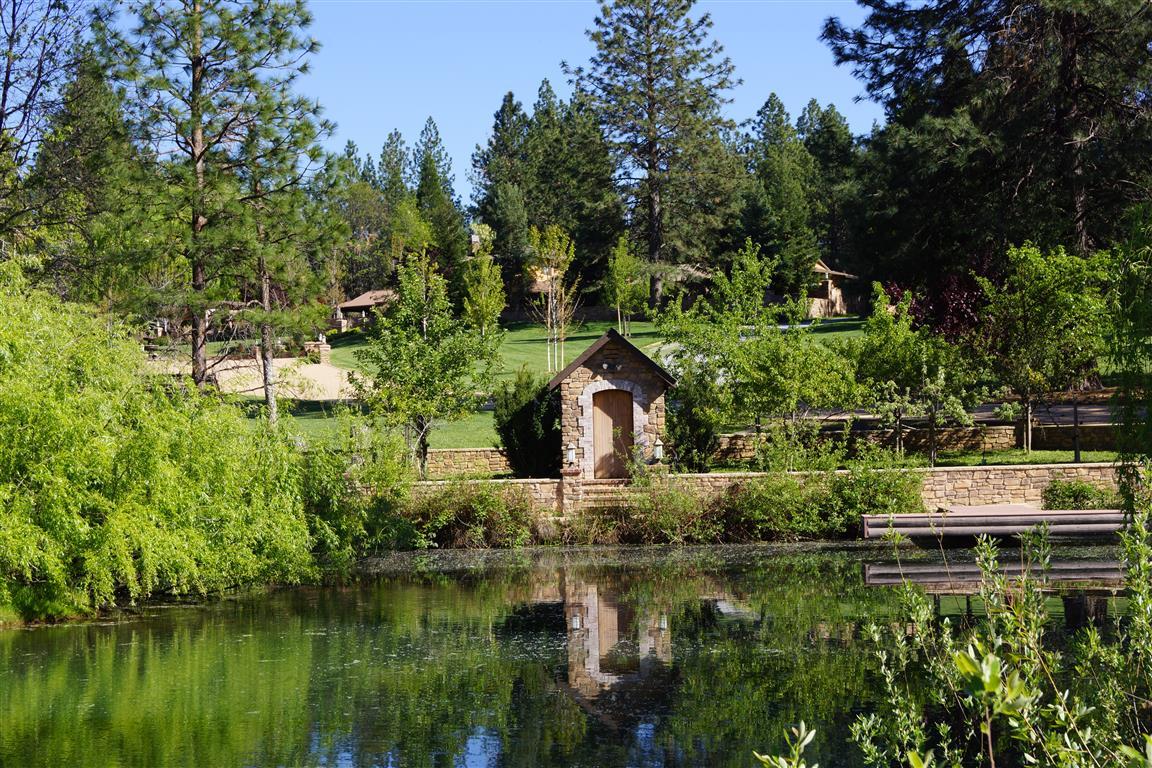14388 Fern Road Whitmore, CA 96096 - Photo 13 of 52 a backyard of a house with a yard and lake view