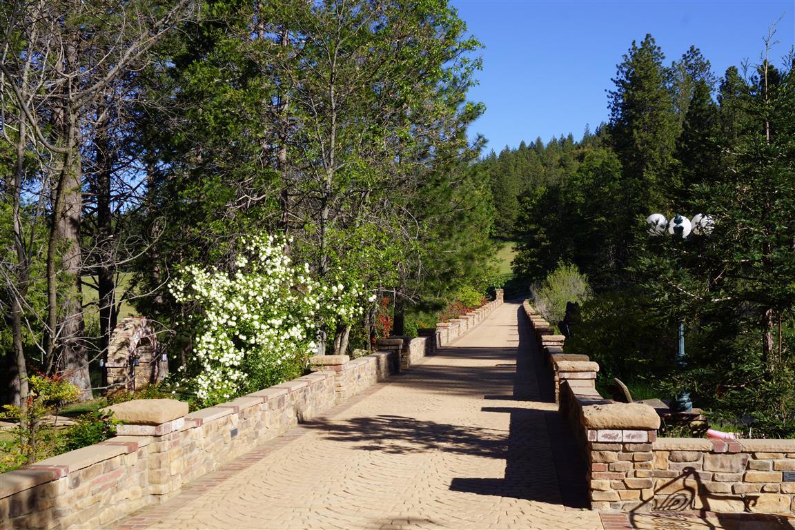 14388 Fern Road Whitmore, CA 96096 - Photo 2 of 52 a view of a yard with plants and trees