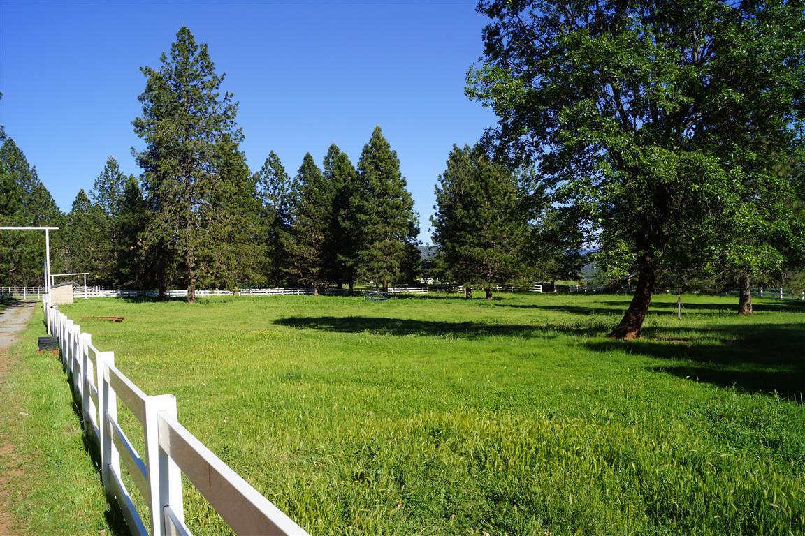 14388 Fern Road Whitmore, CA 96096 - Photo 28 of 52 a view of a golf ground with large trees