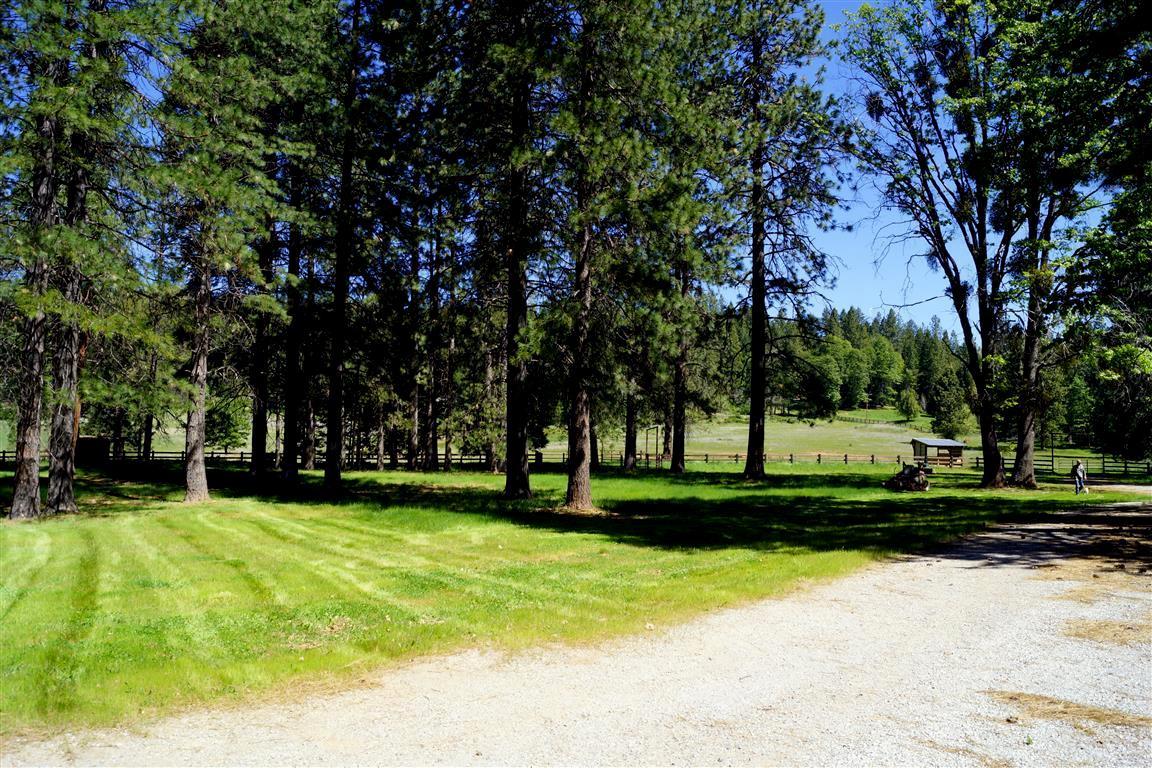 14388 Fern Road Whitmore, CA 96096 - Photo 29 of 52 a view of a park with large trees