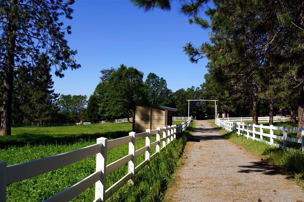 14388 Fern Road Whitmore, CA 96096 - Photo 30 of 52 a view of a park with large trees