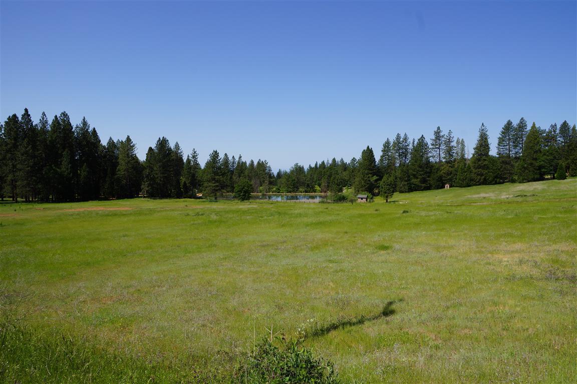 14388 Fern Road Whitmore, CA 96096 - Photo 31 of 52 a view of a field with trees in the background