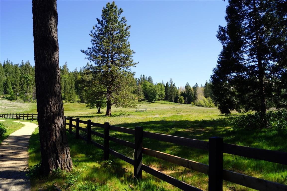 14388 Fern Road Whitmore, CA 96096 - Photo 32 of 52 a view of swimming pool from a lake view
