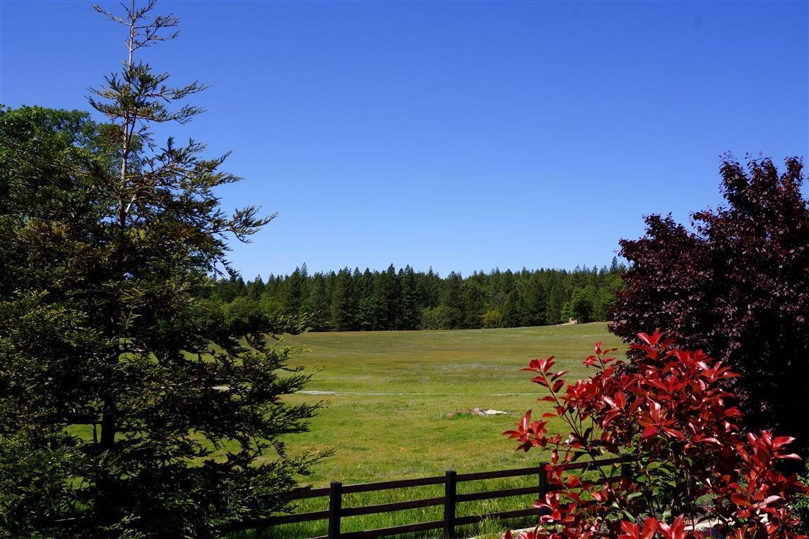 14388 Fern Road Whitmore, CA 96096 - Photo 33 of 52 a view of a lake with a garden
