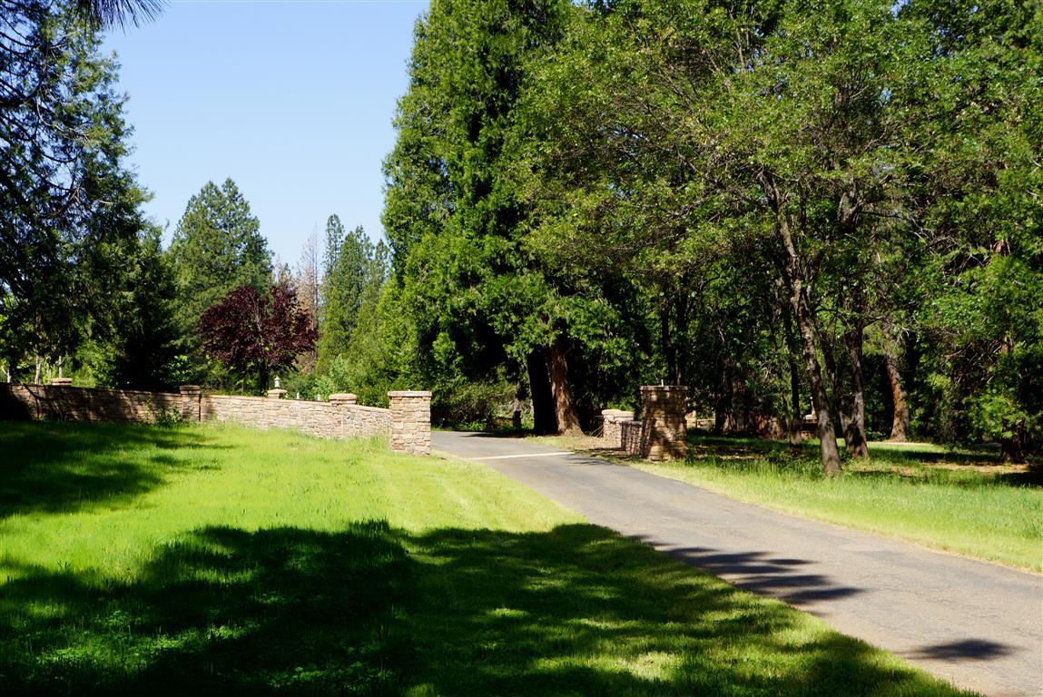 14388 Fern Road Whitmore, CA 96096 - Photo 35 of 52 a view of swimming pool with a yard