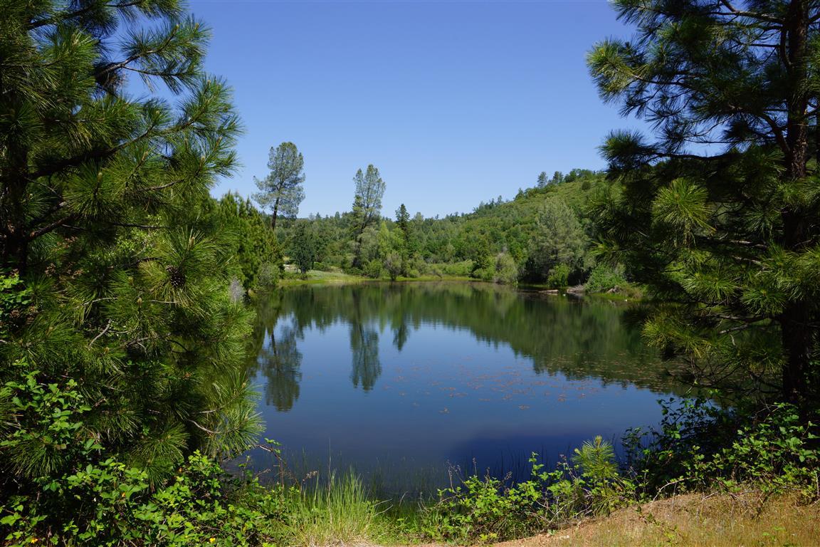 14388 Fern Road Whitmore, CA 96096 - Photo 36 of 52 a lake view with a garden