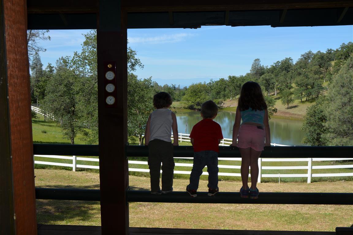 14388 Fern Road Whitmore, CA 96096 - Photo 41 of 52 a view of outdoor seating