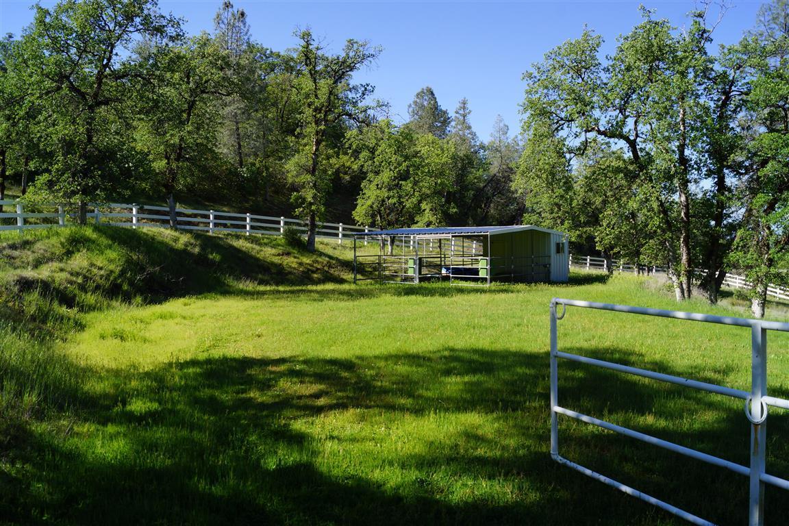 14388 Fern Road Whitmore, CA 96096 - Photo 44 of 52 a view of an house with a backyard