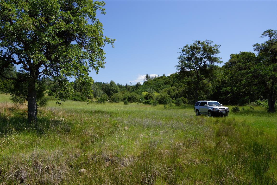 14388 Fern Road Whitmore, CA 96096 - Photo 50 of 52 a backyard of a house with lots of green space