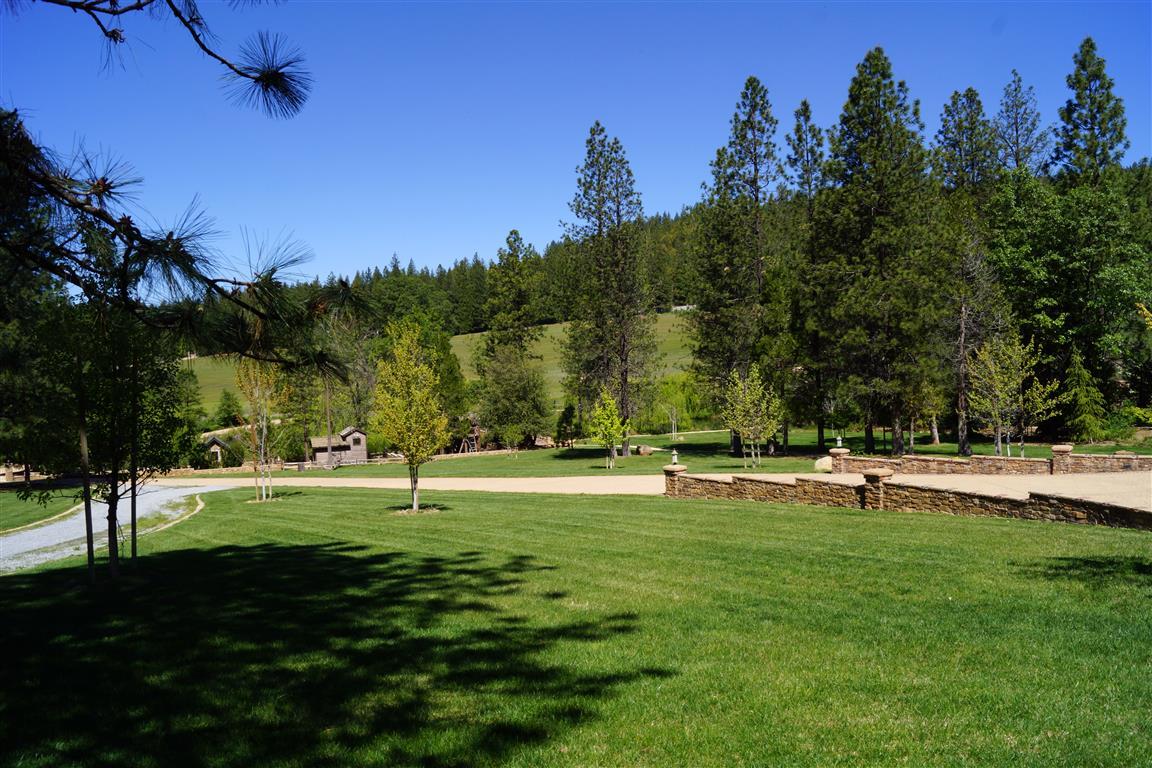 14388 Fern Road Whitmore, CA 96096 - Photo 6 of 52 a view of park space