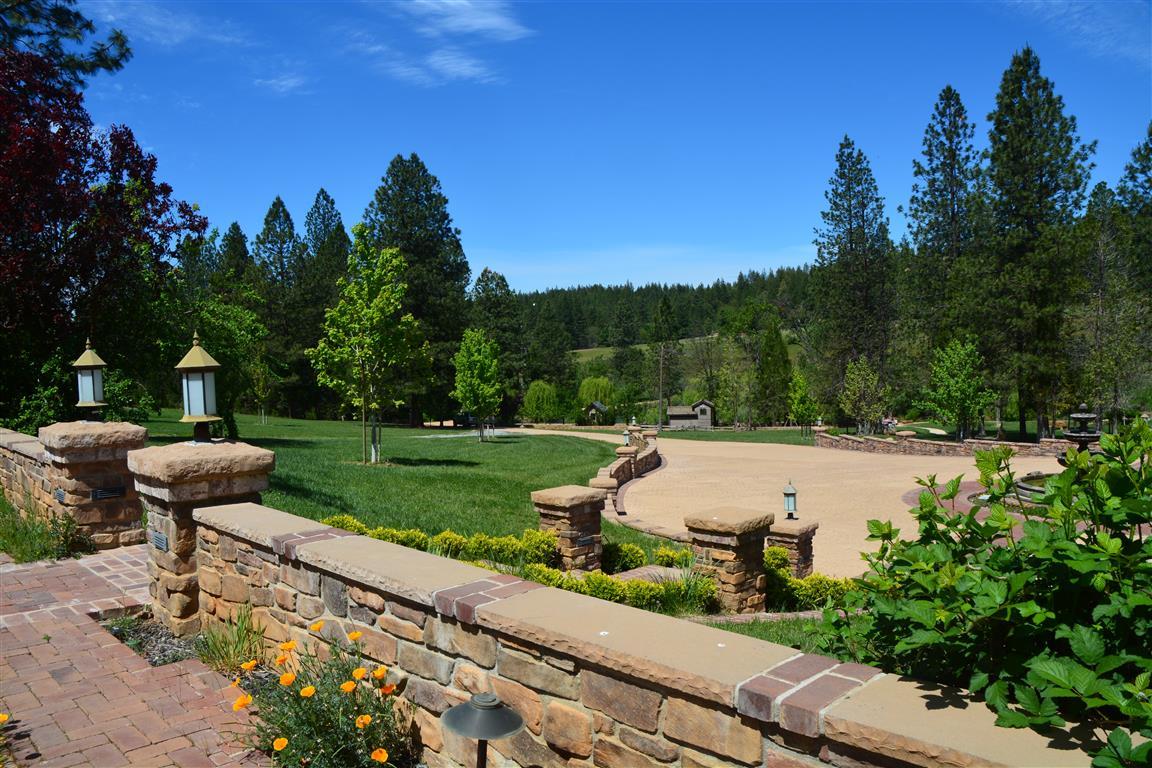 14388 Fern Road Whitmore, CA 96096 - Photo 7 of 52 a view of a garden with a tree in a park