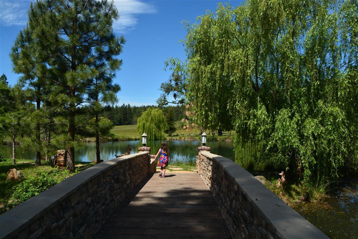 14388 Fern Road Whitmore, CA 96096 - Photo 9 of 52 a view of a wooden bridge