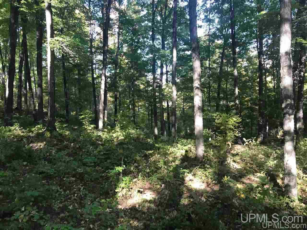 Tbd Ford River Road Arnold, MI 49831 - Photo 12 of 22