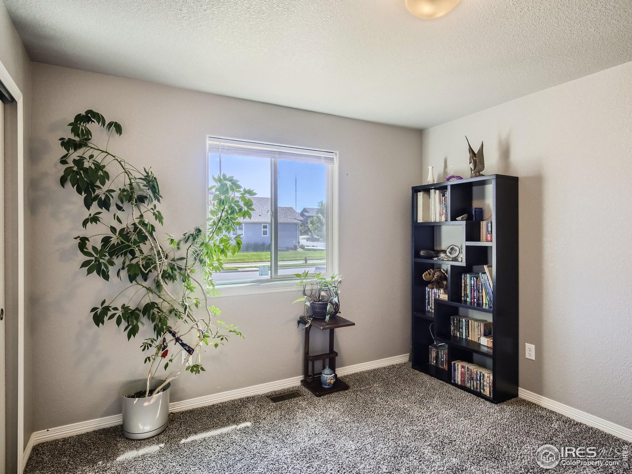 6607 Fifth Street Frederick, CO 80530 - Photo 15 of 28