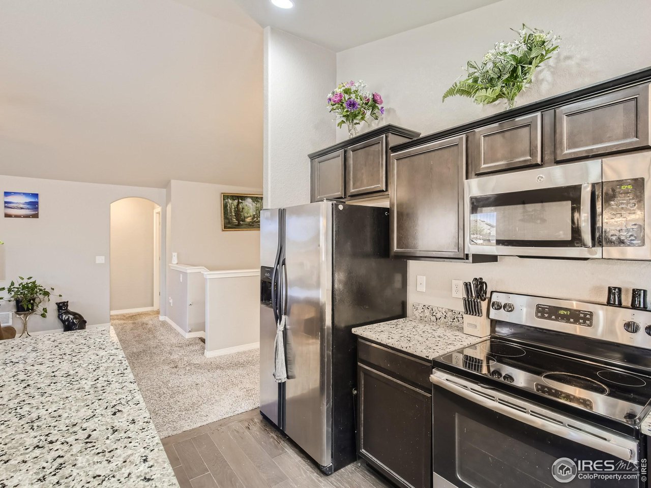 6607 Fifth Street Frederick, CO 80530 - Photo 10 of 28
