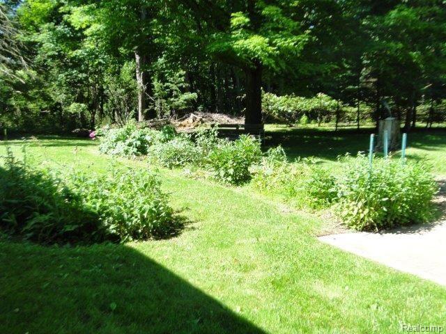 3646 Slattery Road Attica, MI 48412 - Photo 27 of 30 Yard 2