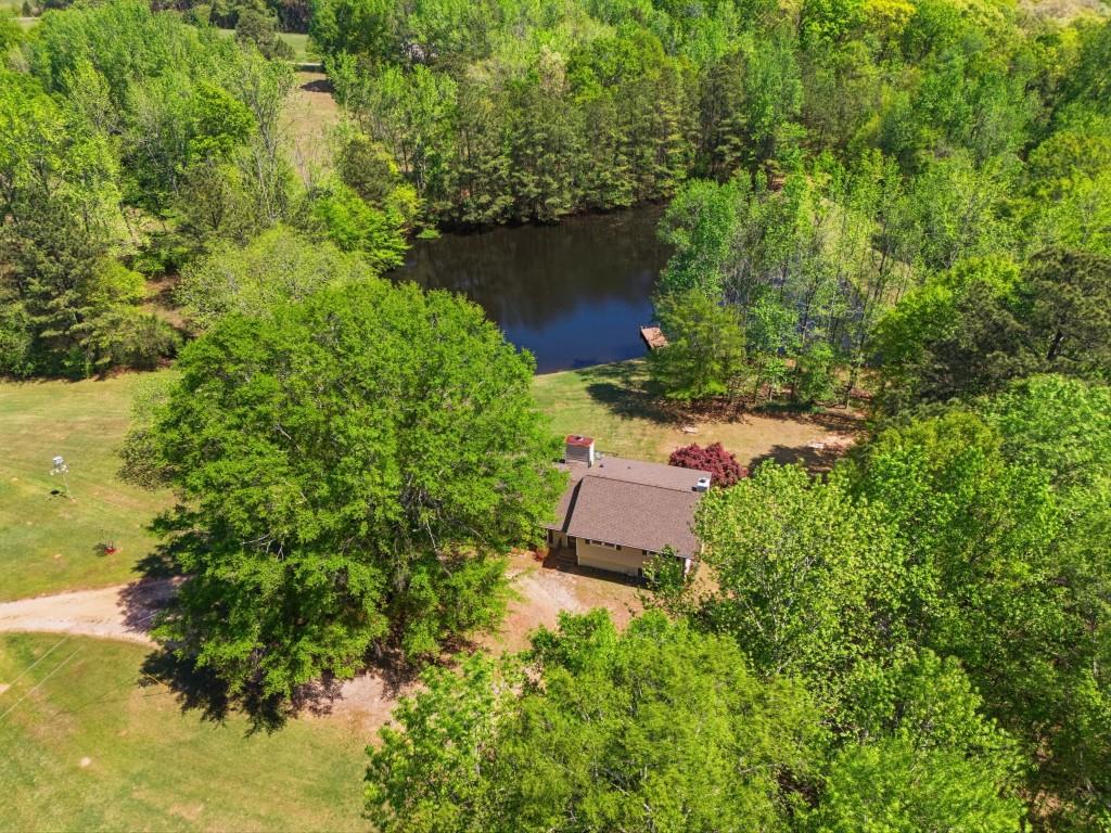 224 Old Franklin Street Roopville, GA 30170 - Photo 47 of 60 a view of a yard with plants and large trees