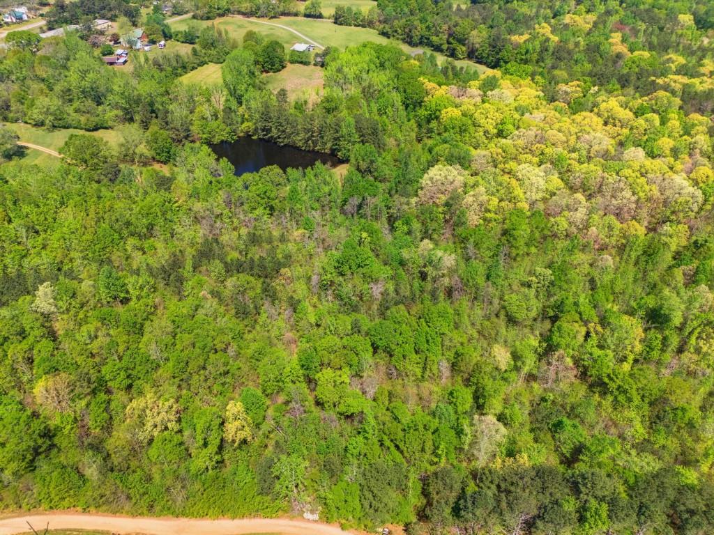224 Old Franklin Street Roopville, GA 30170 - Photo 49 of 60 a view of a lush green forest