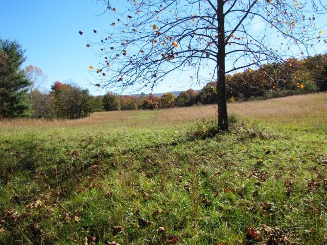 329 Trout Run Road Waiteville, WV 24984 - Photo 52 of 91 Gallery Image 52